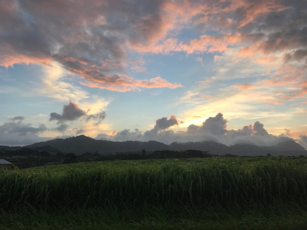 How to deal with pain, depression, anger and other negative&nbsp;feelings