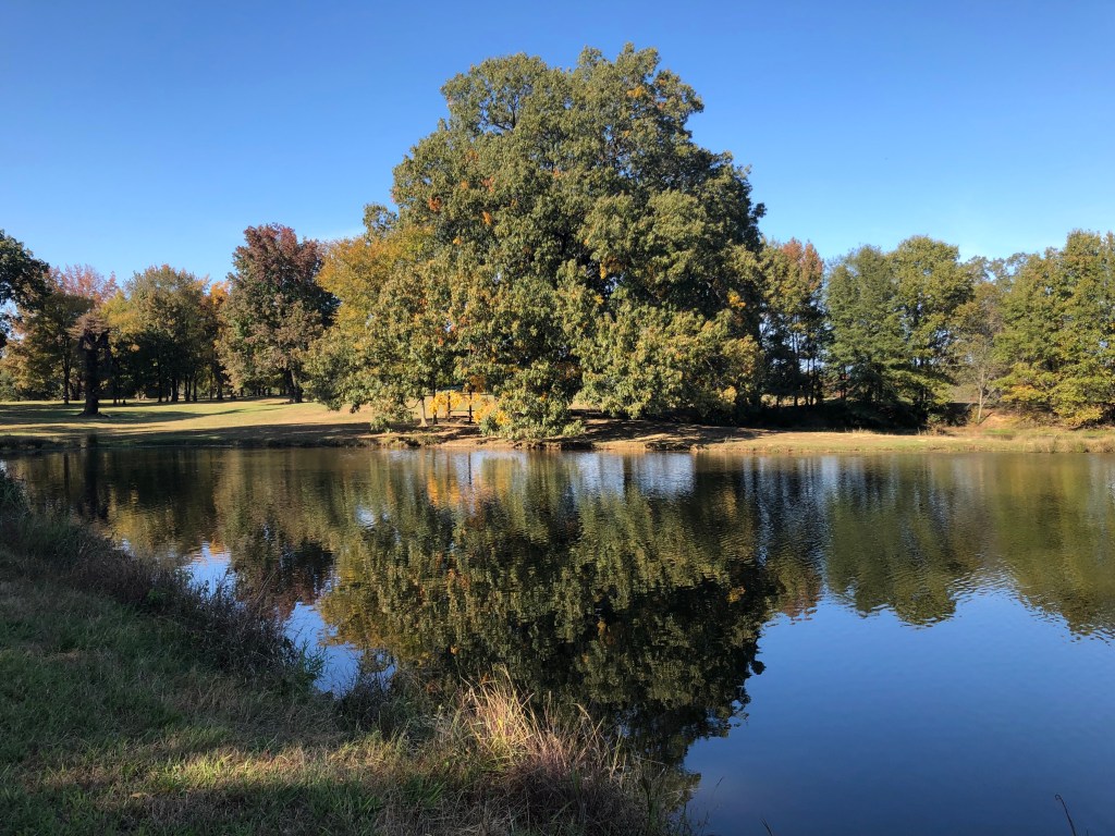 How addiction works in the&nbsp;brain