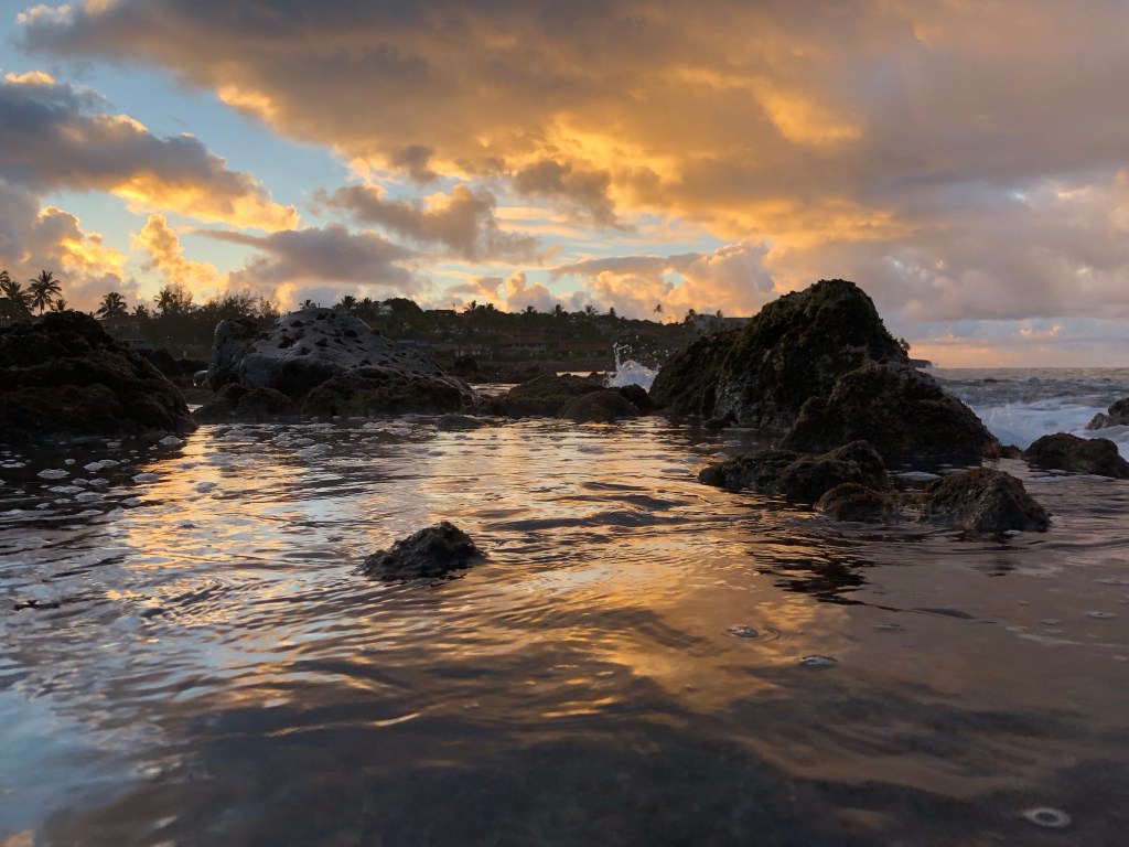 Boredom, a trigger for drug and alcohol&nbsp;use