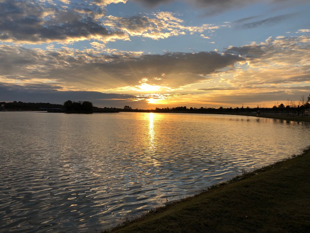 Alcoholism, how it affects the Brain, why Doctors struggle and the 2 Treatments that seem to&nbsp;Work