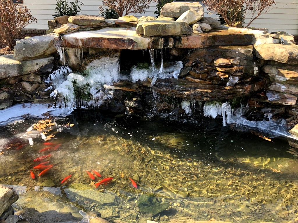 Cannabis. Breaking the&nbsp;Routine