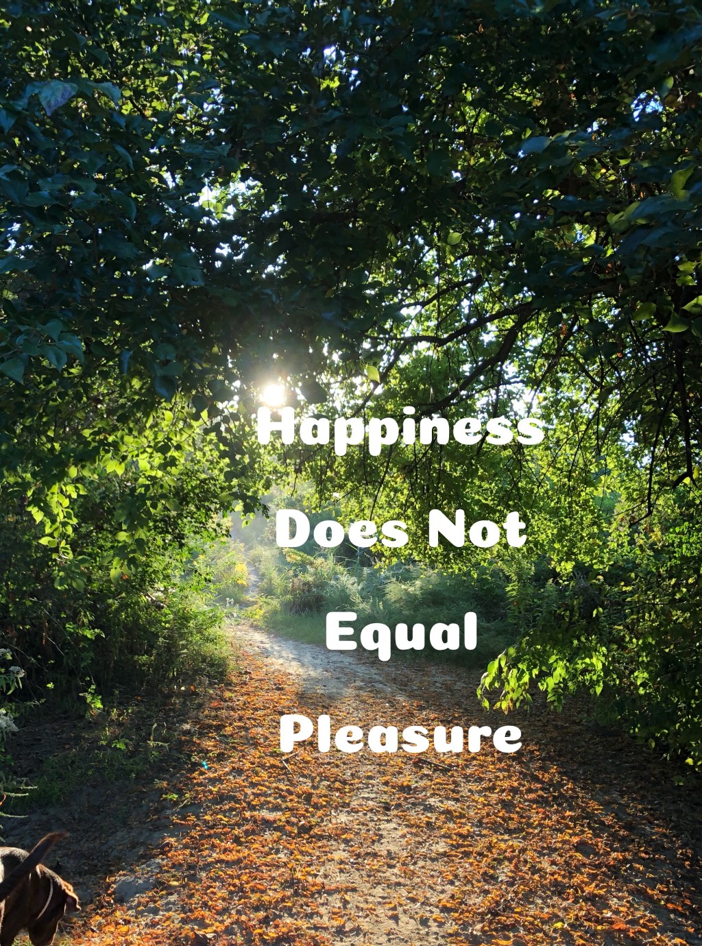 Is Happiness not&nbsp;Pleasure?