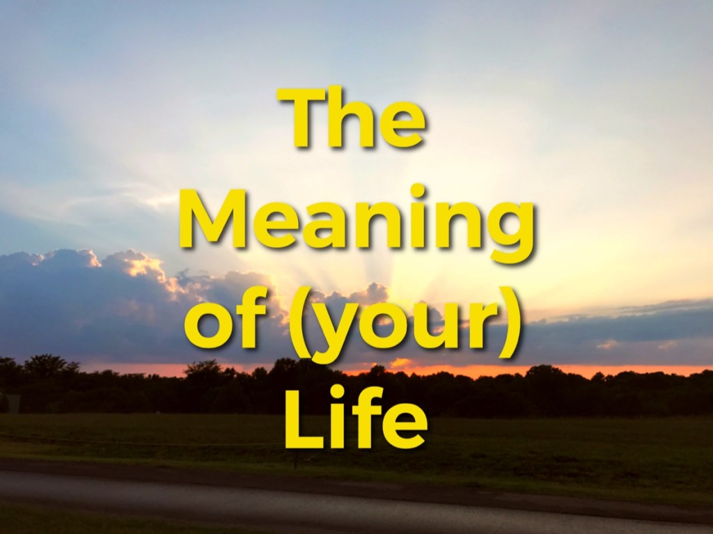 The Meaning of&nbsp;Life